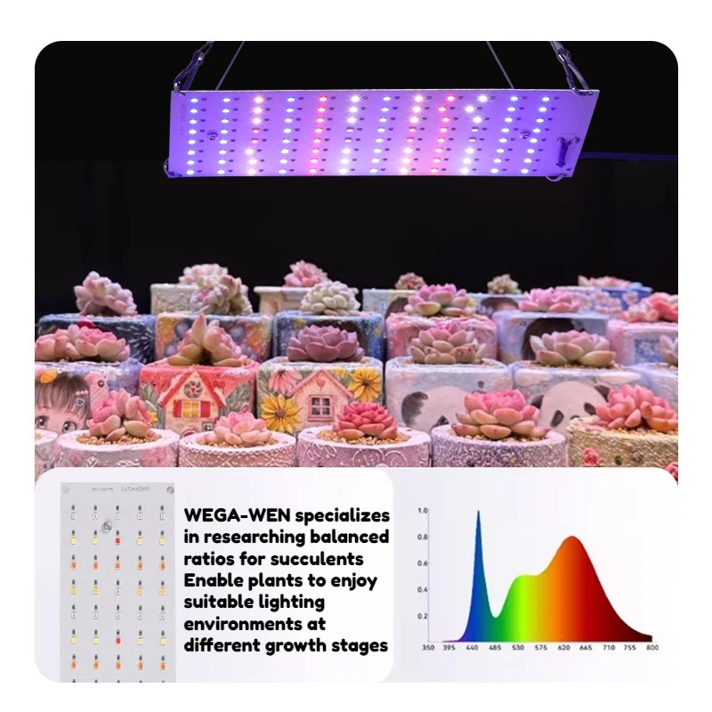 5V USB Operated 2835 Red Blue Spectrum Grow Lamp 50W 100W Quantum Light for Indoor & Greenhouse Vegetable Seedling Growing