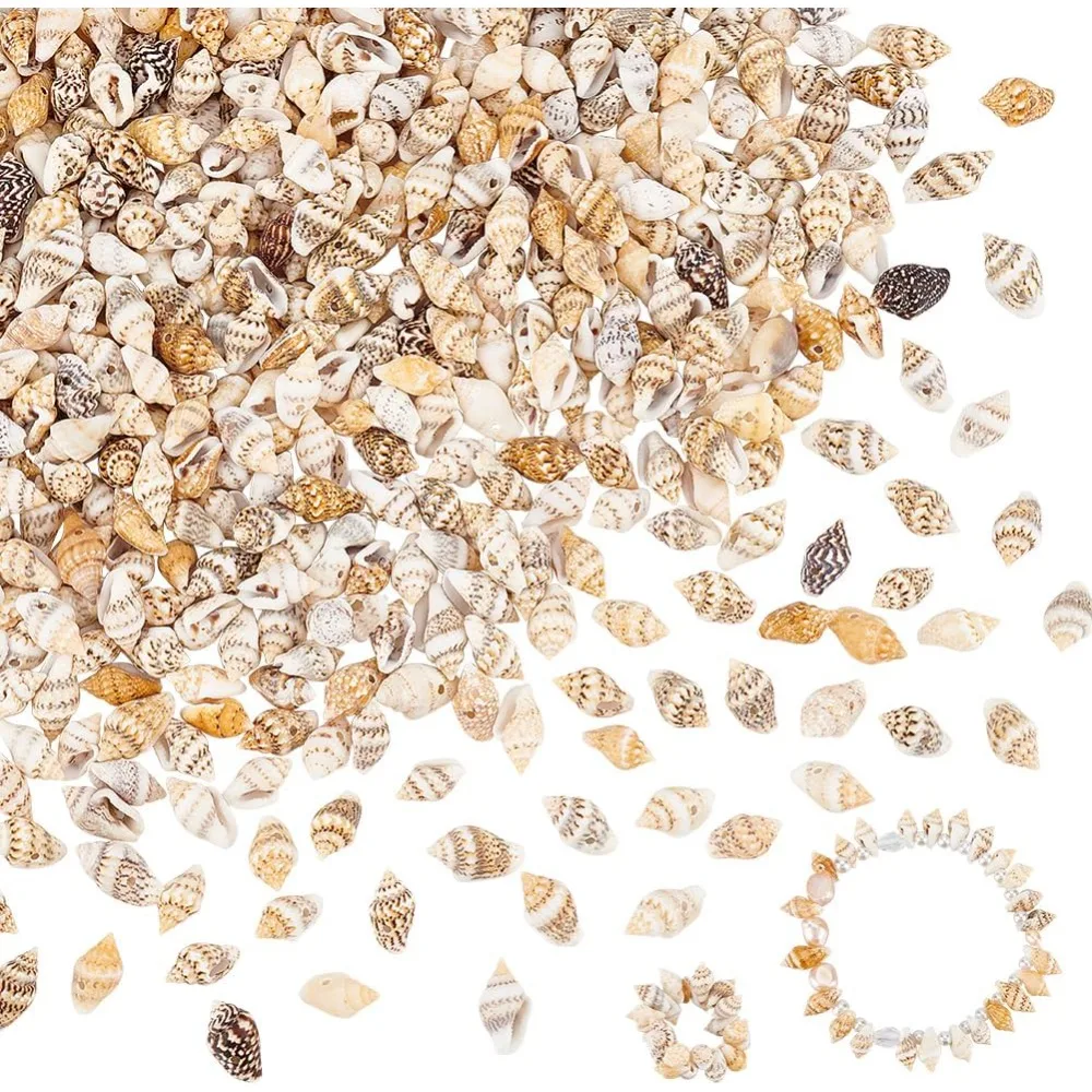 

540pcs Natural Spiral Sea Shell Beads 10~15mm Ocean Beach Seashells Drilled Mini Shells Small Shells for Craft DIY Jewelry kit