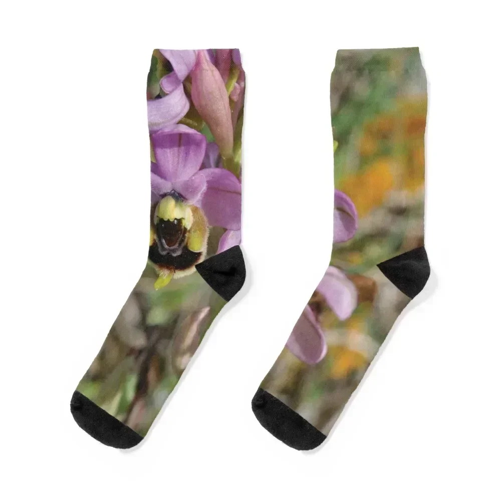 

Orchid flower Socks gift Running funny gifts bright garter Boy Child Socks Women's