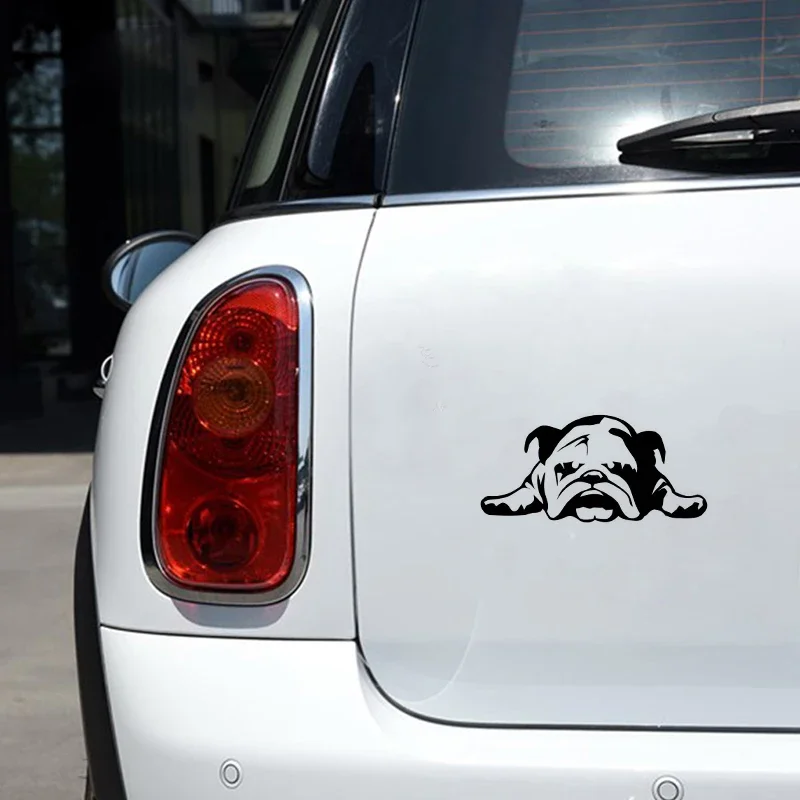 Car Sticker 3D ENGLISH BULLDOG TIRED PUPPY Sticker on Car Funny PVC Stickers Decals JDM Motorcycle Car Styling Accessories.