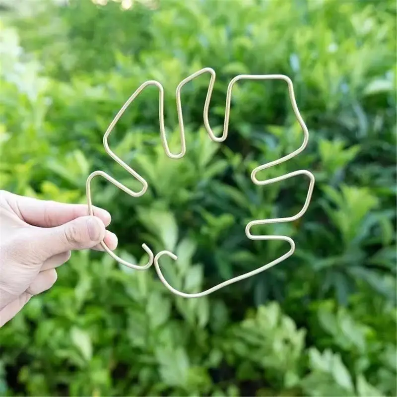 E8BD 5PCS Monstera Support Clamps Stabilizers Gentle Holder Bracket Metal Designs for Indoor Gardening Plant Stability Growth