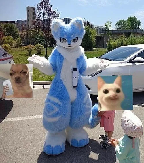 fursuit mascot costume unisex Husky suit Cosplay carnival Halloween birthday party disguised performance