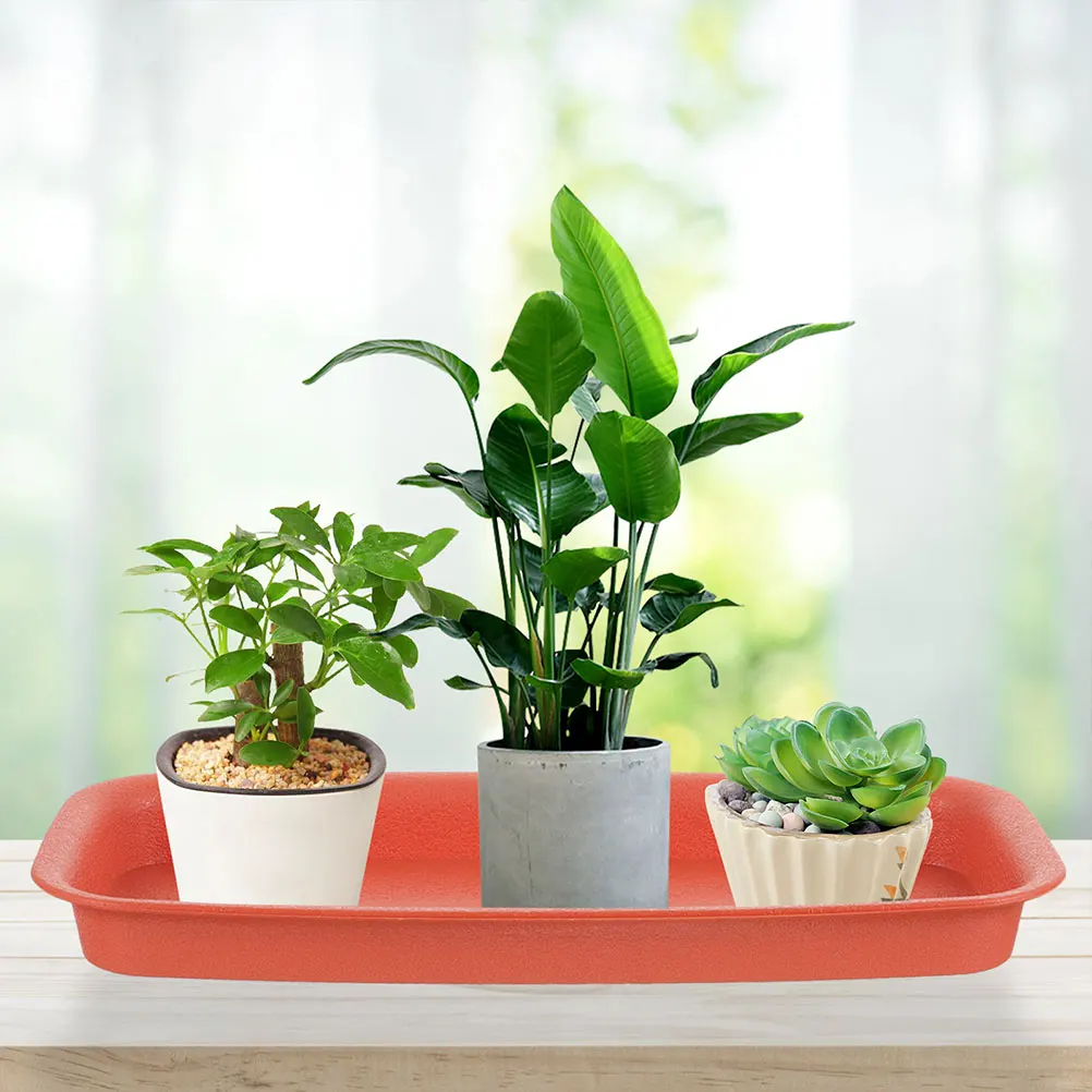 

4 Pcs Water Tray Rectangle Planter Saucer Flower Pot Saucers for Plants Plastic Drip Rectangular Indoor