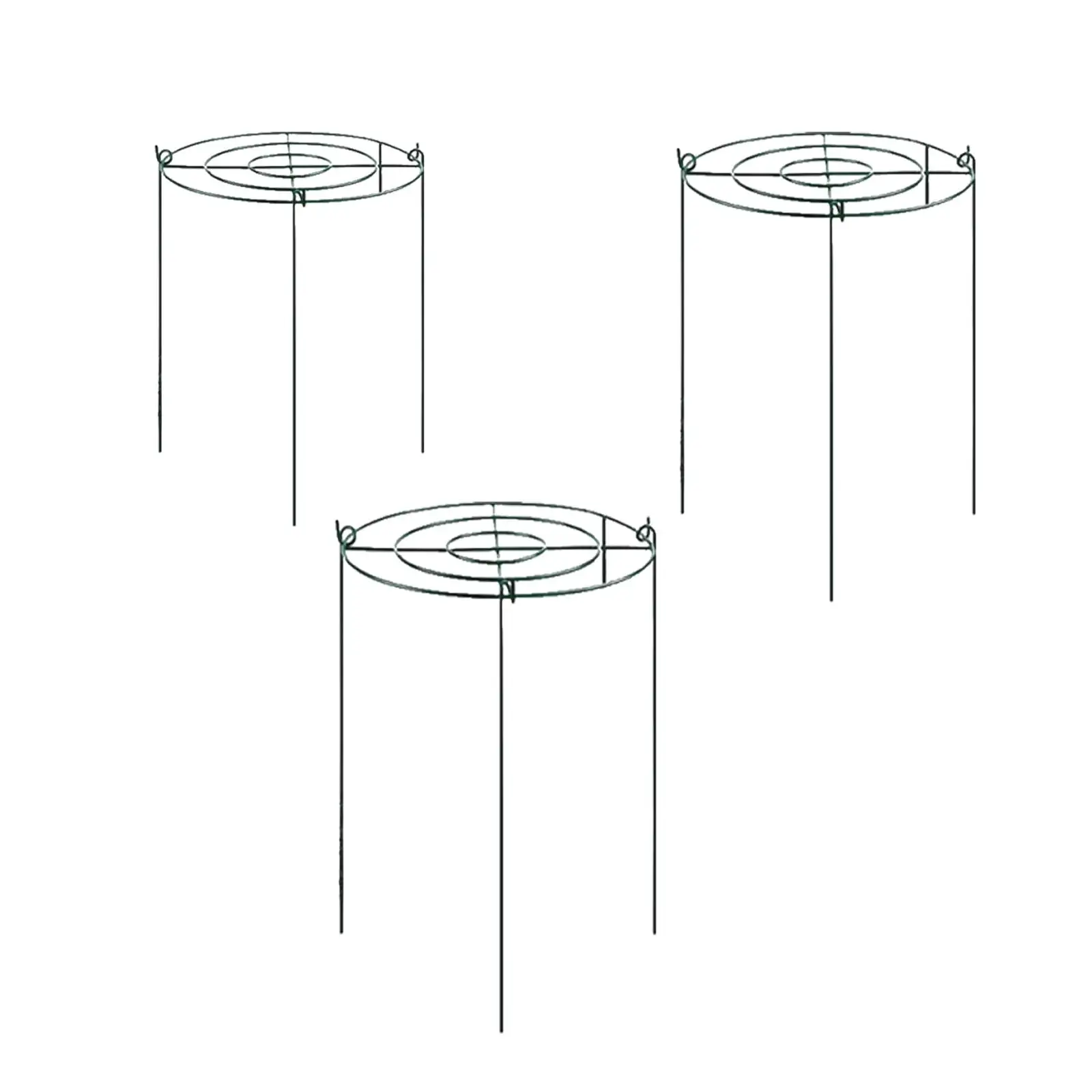 

Plant Support Ring Metal Grow through Hoops Climbing Trellis Brace Stake for Outdoor Plants Orchids Tomato Rose Hydrangea