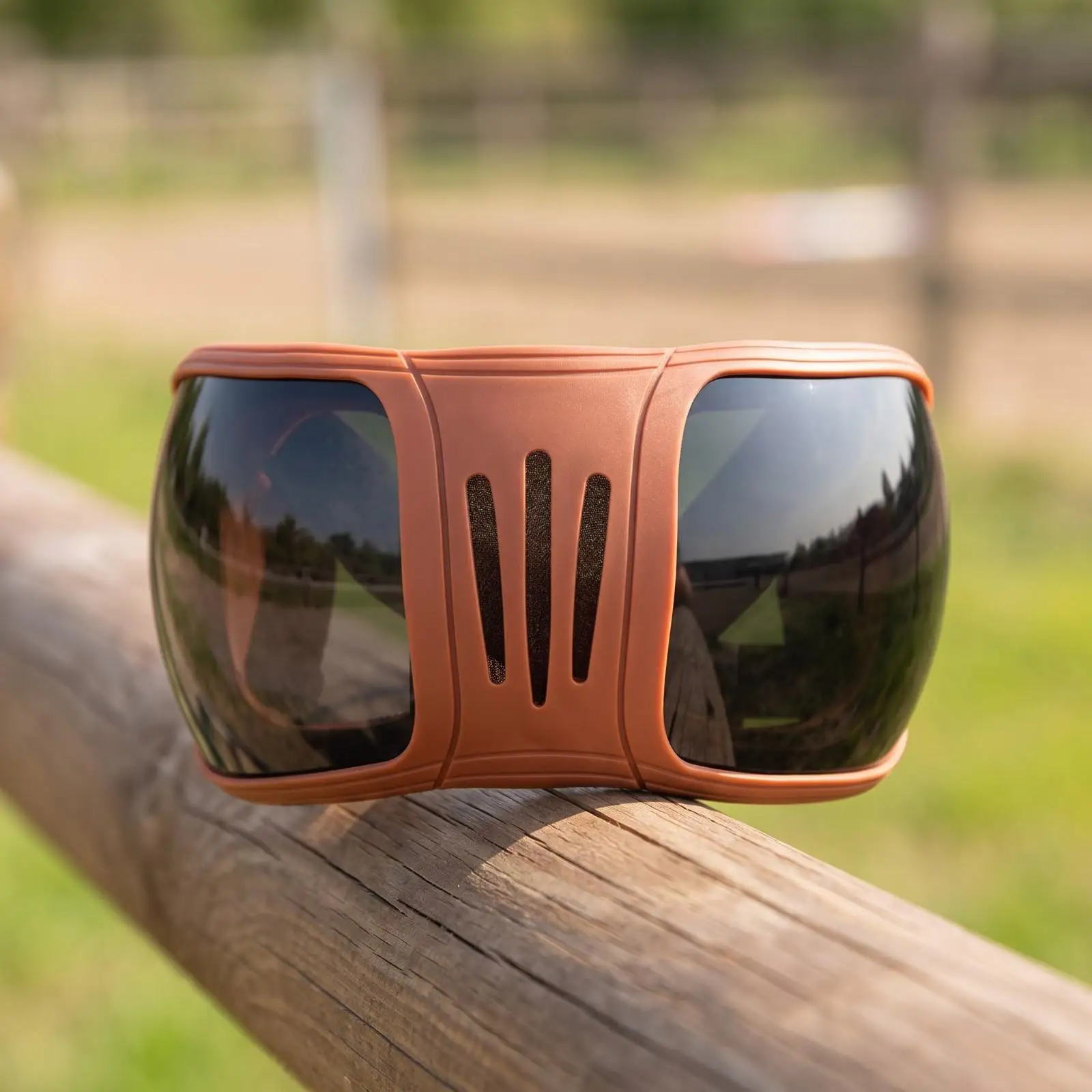 Comfortable Horse Eye Shield for Equine Care Anti Chafe Padded Edge Ventilated Frame PC Lens Goggles