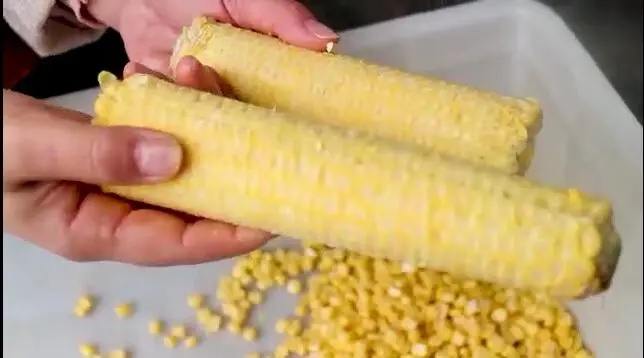 

Fresh Sweet Corn Peeler Multifunction Corn Peeling Machine Corn Thresher and Peeler Machine