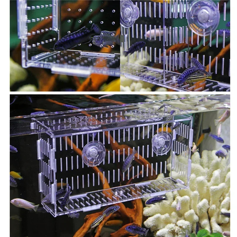 

Прозрачная акриловая коробка для разведения рыбы Betta, коробка для разведения рыбы с орнаментом, коробка для разведения рыбы с одной/двумя ячейками, товары для разведения рыбы