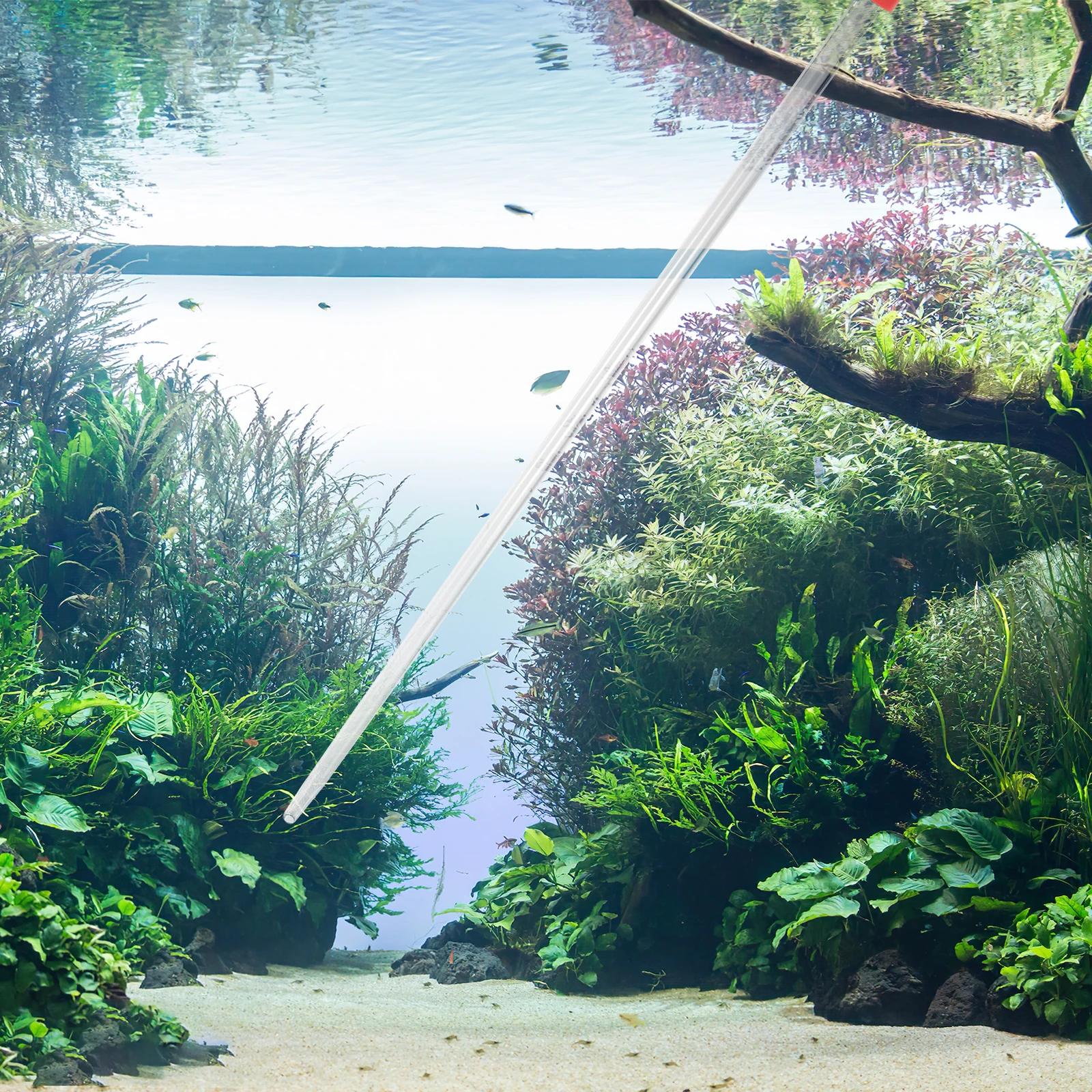 

Aquarium Coral Feeder Acrylic Marine Fish Feeding Tool 40cm Reef Organisms Feeder for Aquatic Plant Spider Snake Lizard