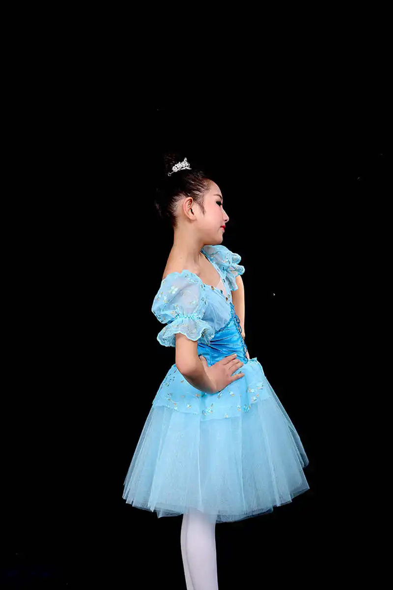 Professional jazz Latin dance costume in velvet style for performance dresses