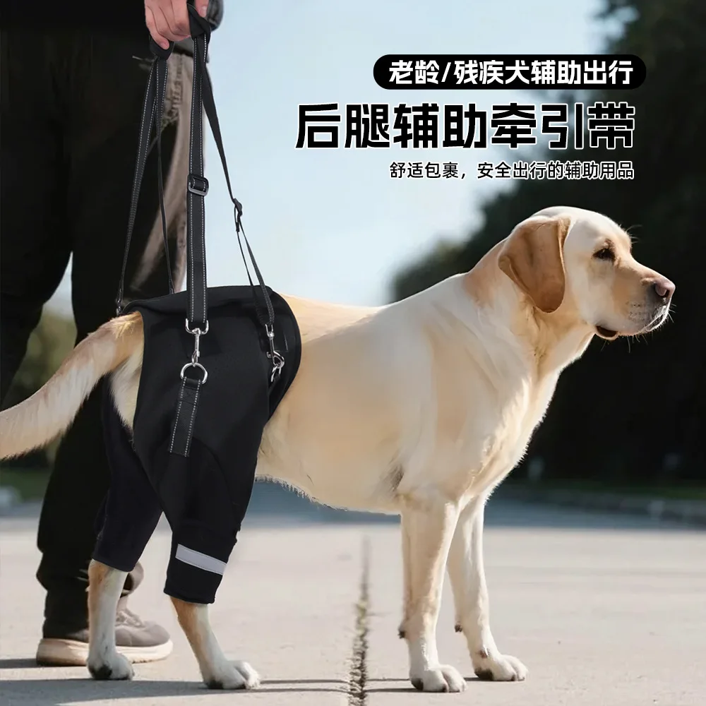 Dog hind leg assist belt, elderly dog disabled dog rehabilitation travel, hind leg pull leash
