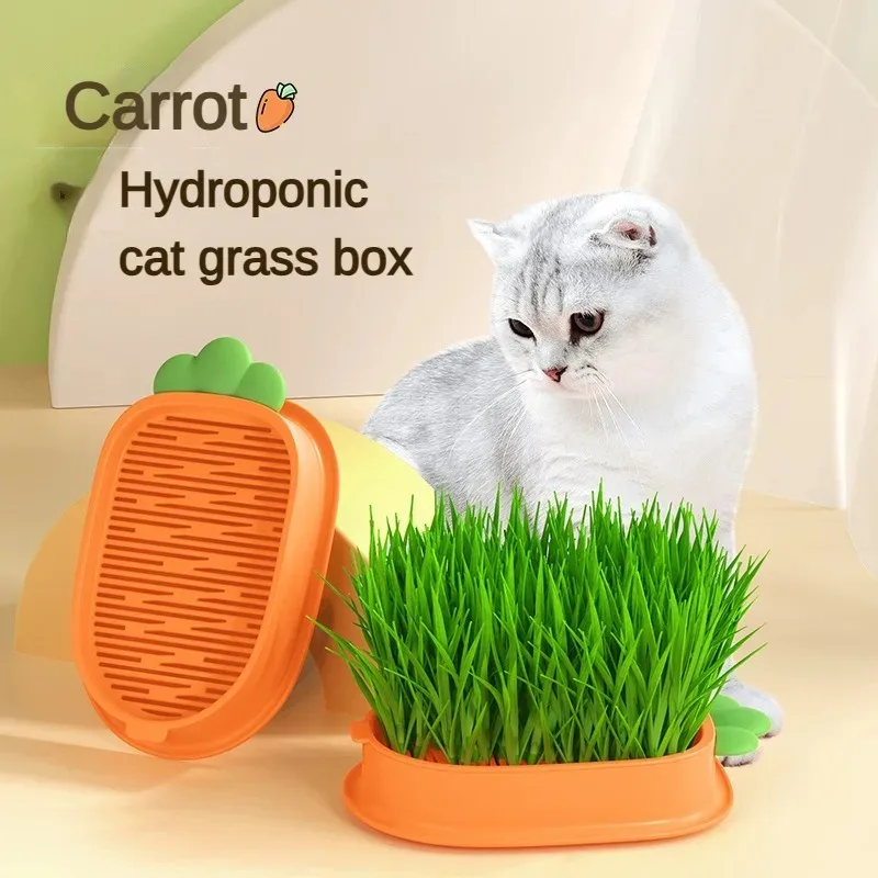 New Pet Cat Sprout Dish Growing Pot Hydroponic Plant Cat Grass Germination Digestion Starter Dish Greenhouse Grow