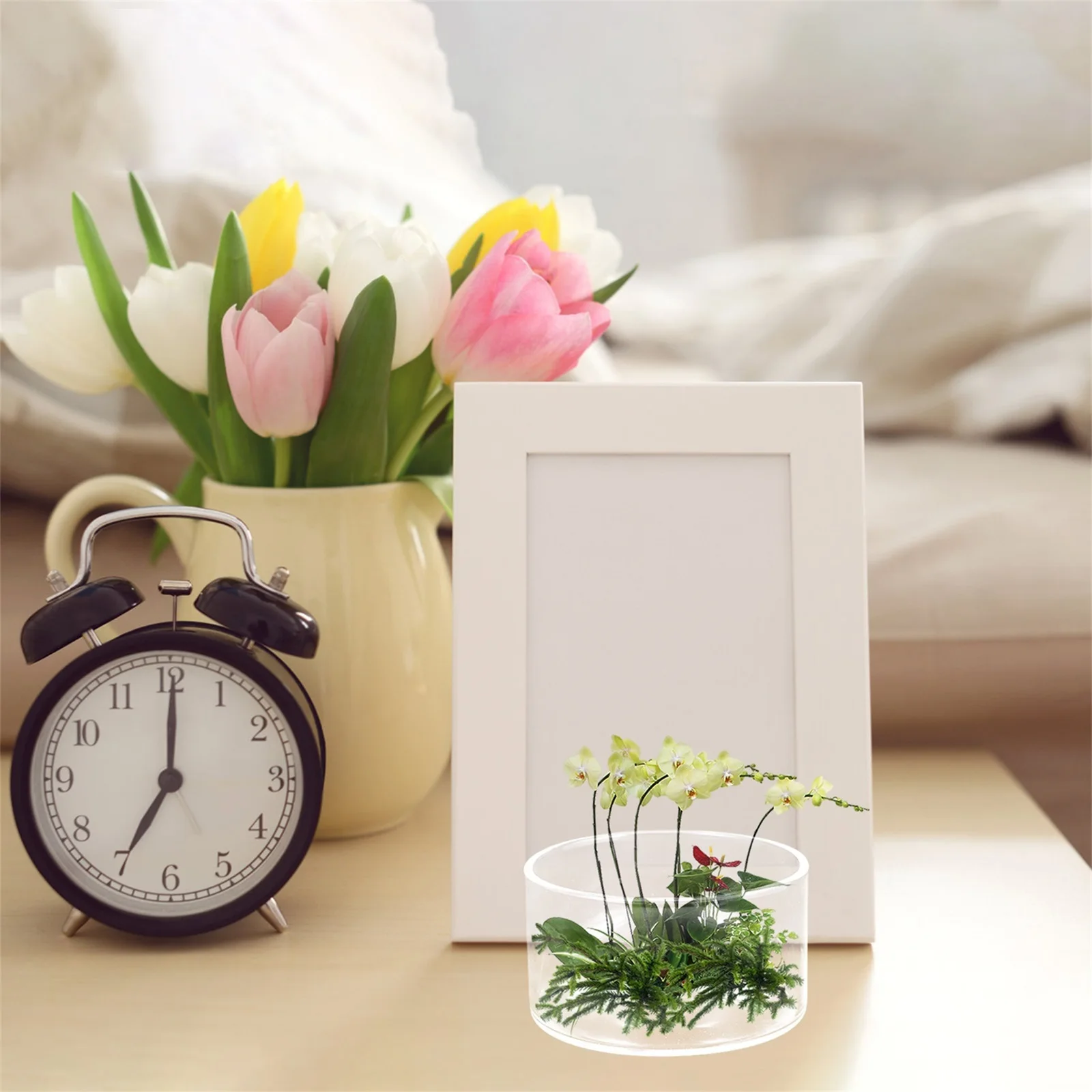 

Micro Landscape Terrarium Ecological Glass Bottle Clear Decorative Moss Plant Bottle Indoor Garden Table Adornment