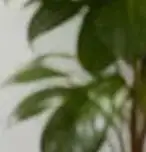 

Пылезащитный и водонепроницаемый чехол для принтера для домашнего офиса, сумка для хранения на стул или стол