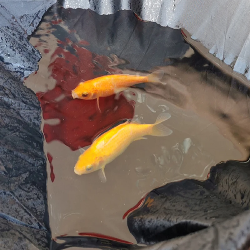 가와사키 ZX6R ZX10R ZZR1100 ZX14R ZX9R 용 방수 오토바이 커버, 14 색 Uv 프로텍터 비 방진 스쿠터 커버