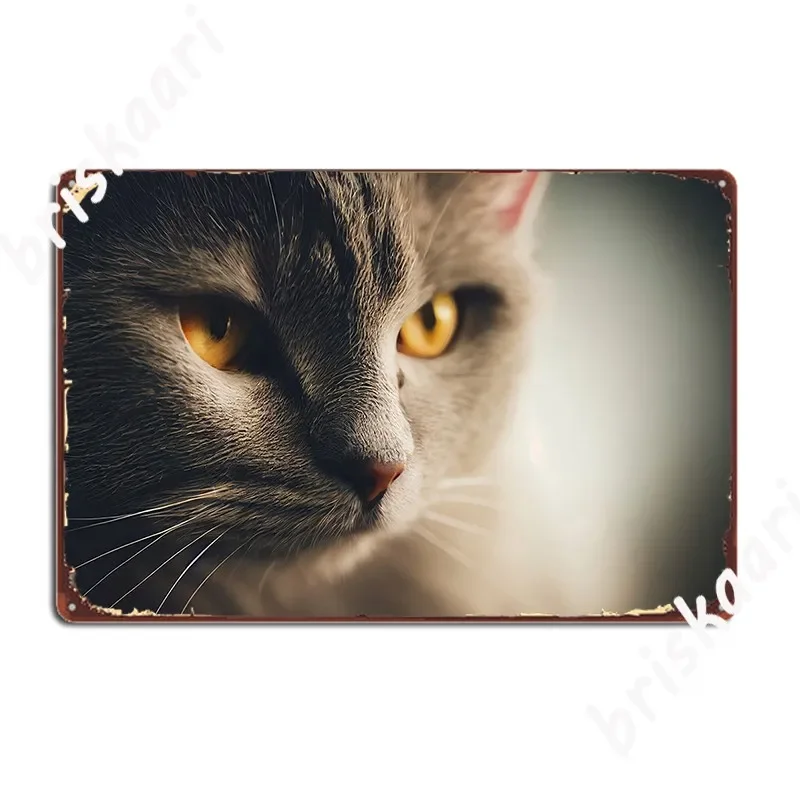 Nebelung Cat Close Up Face Metal Plaque Poster Decoration Wall Decor Party Club Home Tin Sign Poster