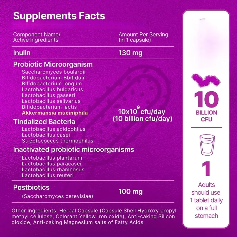 كبسولات Akkermansia البروبيوتيك المهبلي GLP-1 لصحة الأمعاء، مكمل دعم المناعة 10 مليار CFU 60 كبسولة