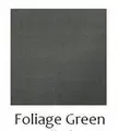 FG
