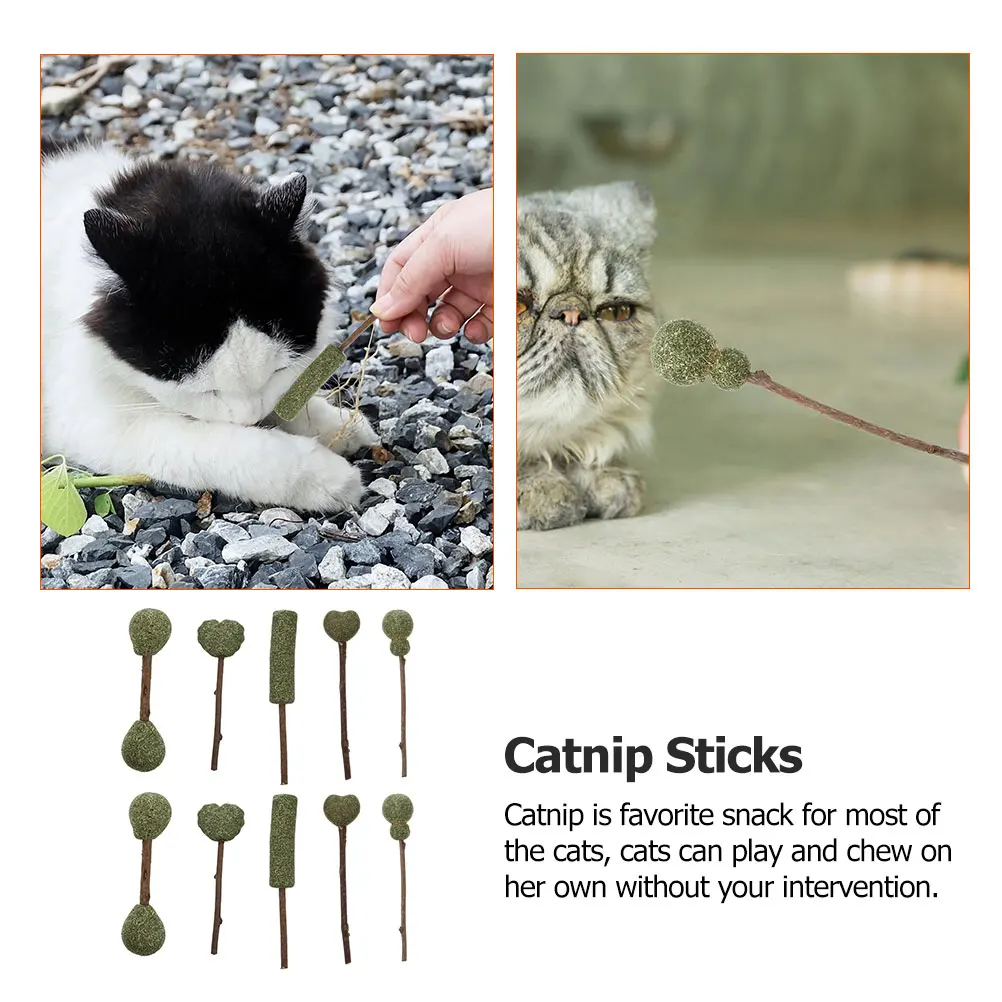 

10pcs Catnip Lollipops Edible Sticks Snacks Balls Toys Natural Sticks Kitten Chewable Dental Cleaning Pet Fun Indoor