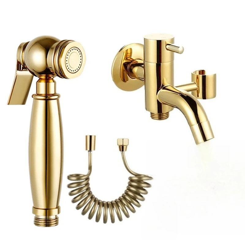 

Titanium all-copper mop pool faucet booster flusher, toilet spray gun set