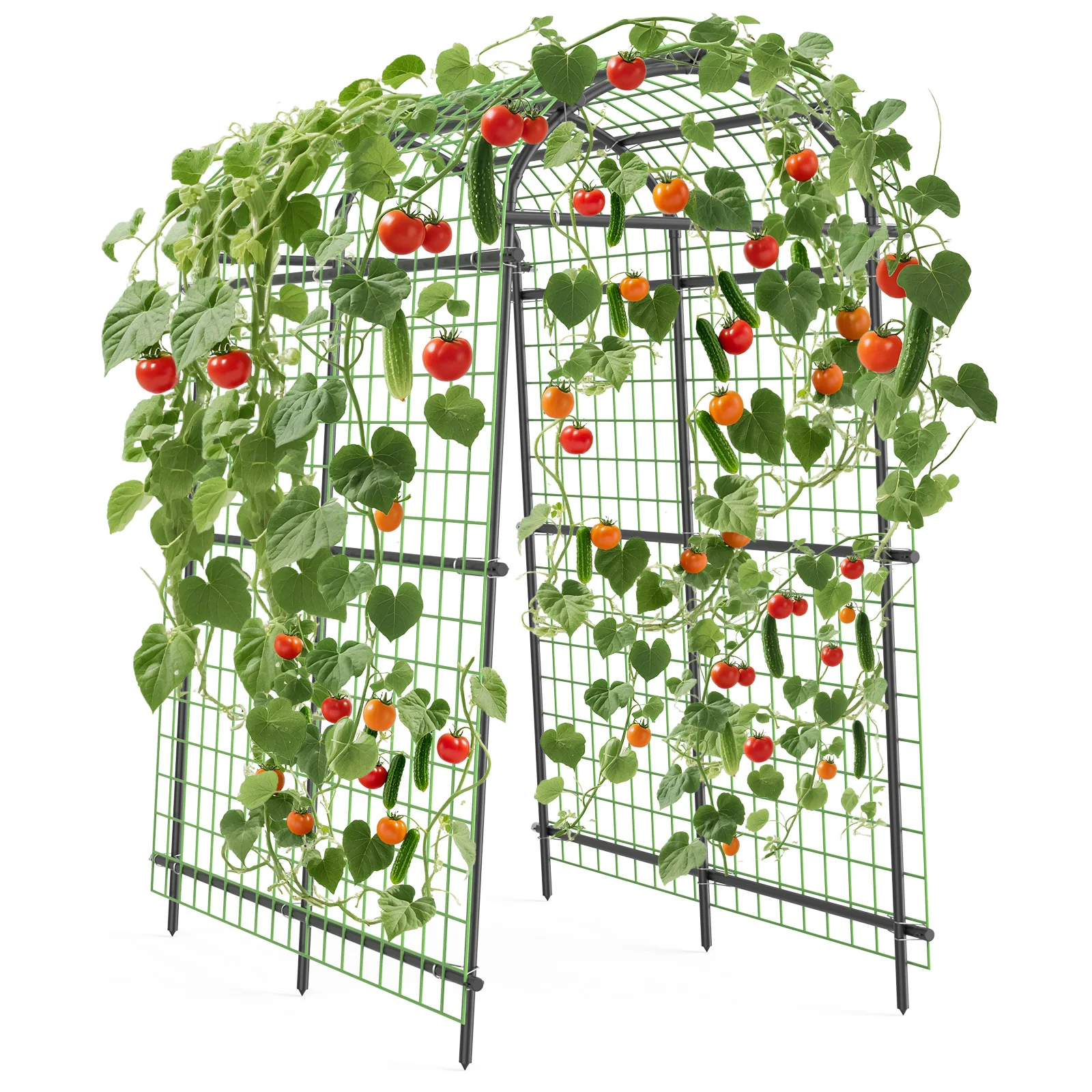 Recinzione da Giardino con Arco, Recinzione da Giardino in Metallo Altezza 230 cm, Piedini con Rete per Piante Rampicanti, Verdure, Fiori, Pergola Esterna, Decorazione per Matrimoni, Nera