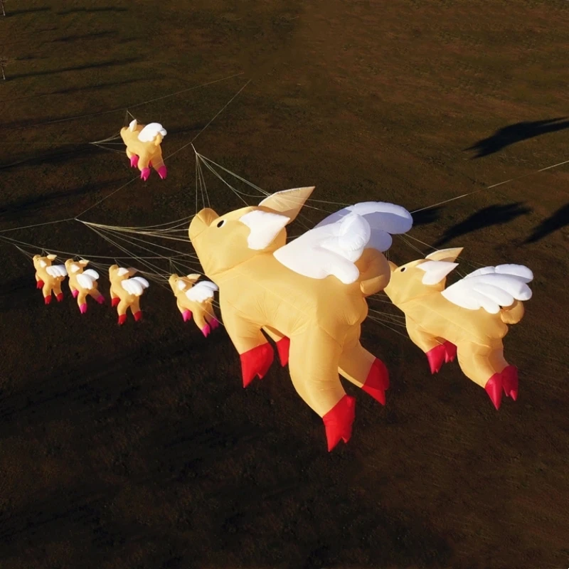 طائرات ورقية قابلة للنفخ تظهر طائرة ورقية عملاقة قلادة طائرات ورقية على شكل خنزير ألعاب طائرة ورقية كبيرة طائرة ورقية احترافية غزل مع حبل طائر طائر