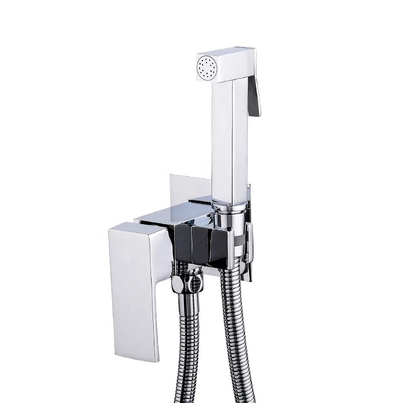 

Toilet Bathtub Concealed in Wall Toilet Shower Bidet