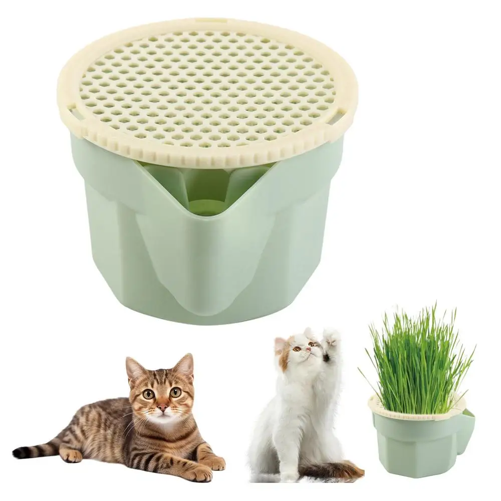

Hydroponic Cat Grass Box Planter Easy To Grow Hierarchical Design Microgreens Growing Kit Detachable Reusable