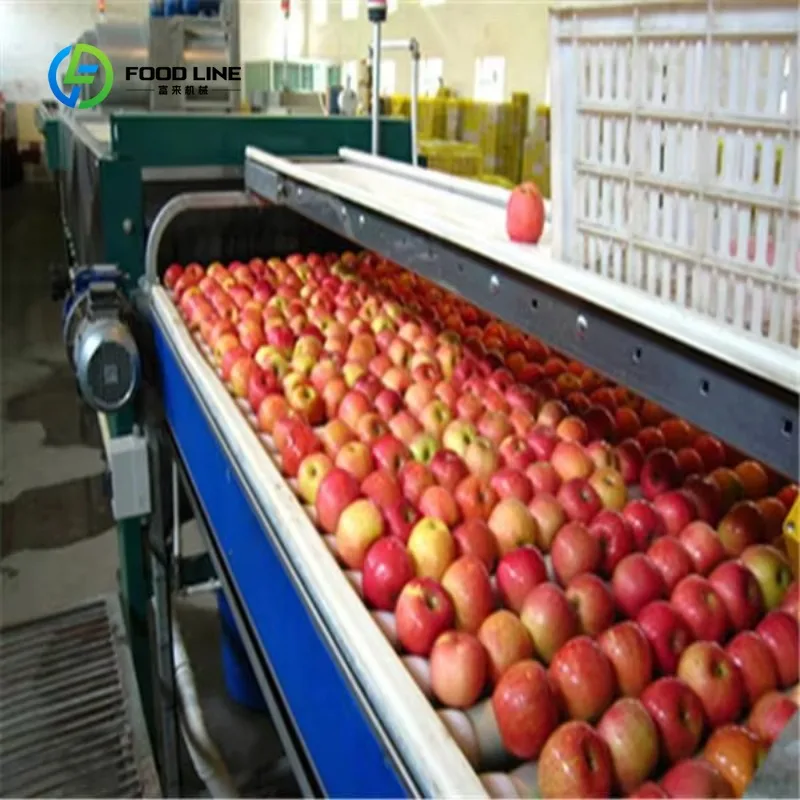 Customized apple Juice Line Machine with Pasteurization/apple Juice Processing Line/apple Juice Line Machine