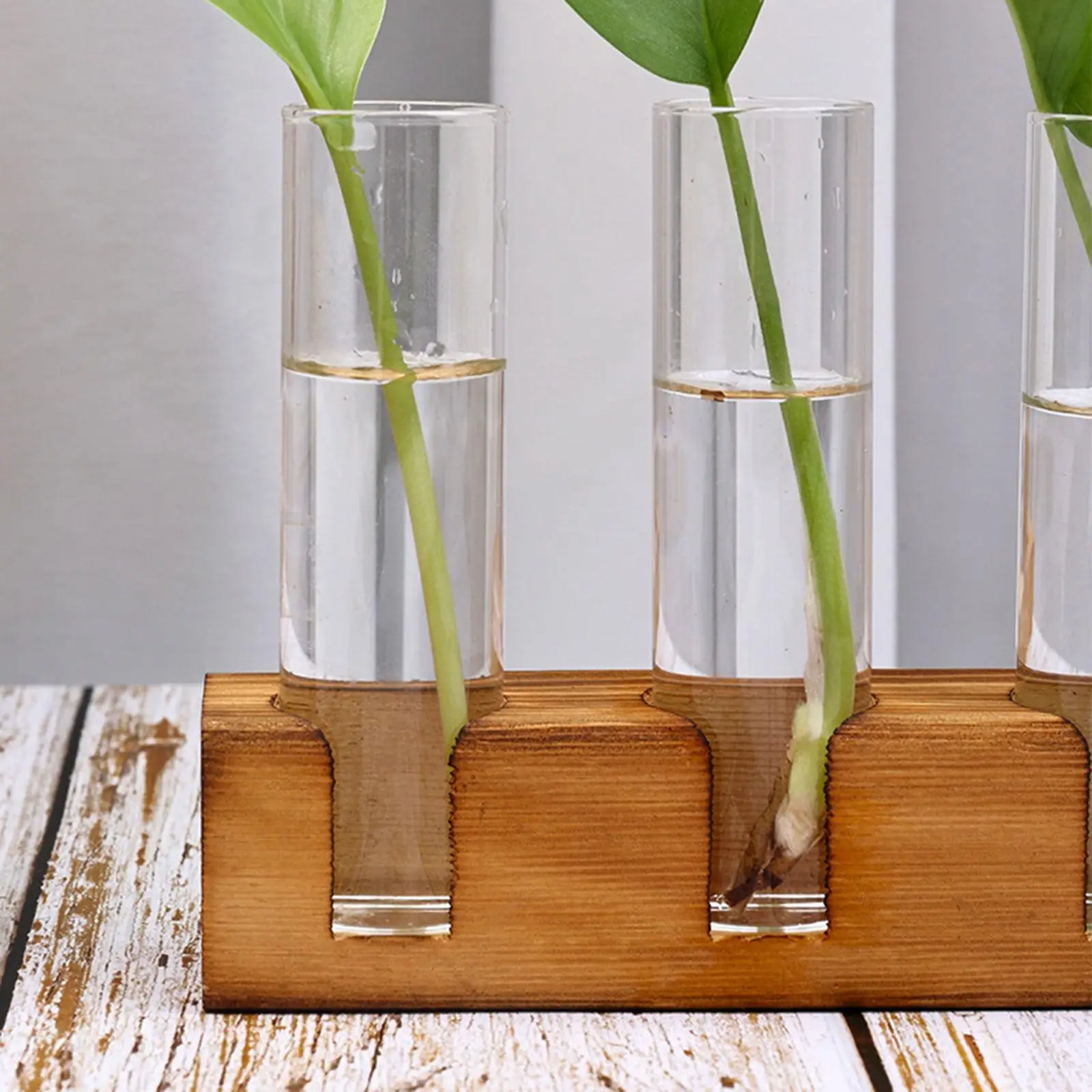 Plant Terrarium with 5 Test Tubes Desktop Decoration Creative Plant Propagation Tubes Plant Pots for Hydroponics Test Tube Vase