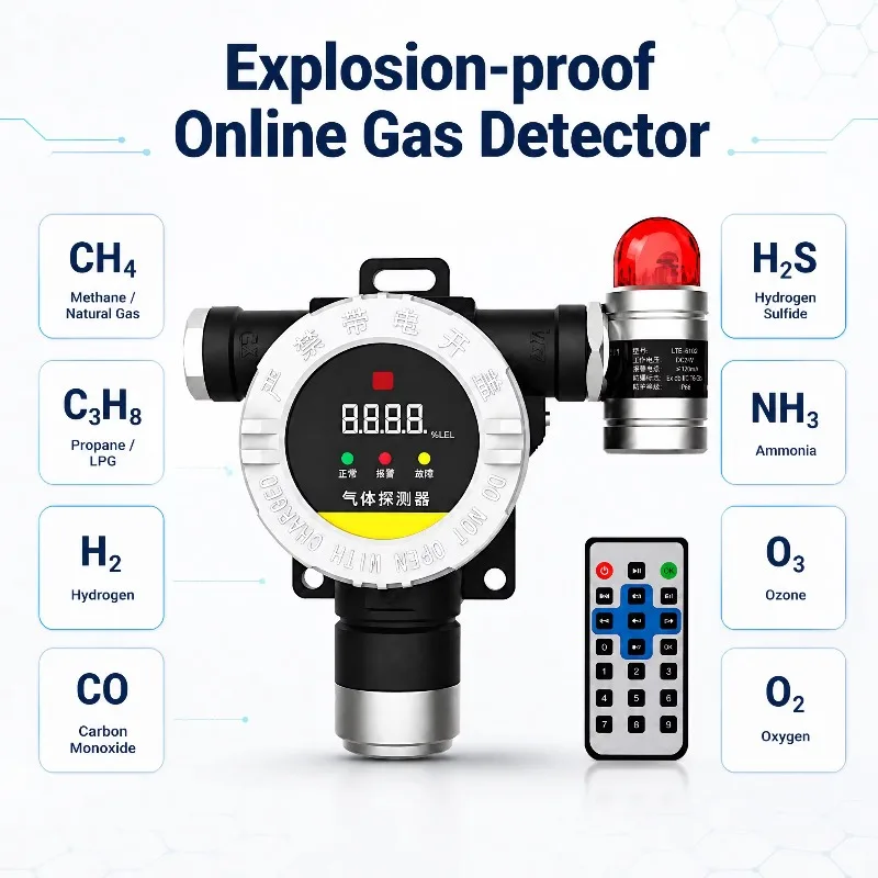 Explosion Proof Fixed Gas Detector Concentration Alarm 1% Accuracy For Combustible Gases CH4 C3H8 H2 CO H2S NH3 O3