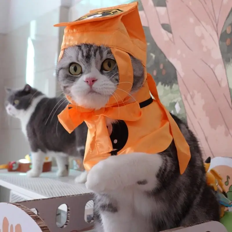 Imitatie Van Een Taoïstische Grappige Kattenkleding Huisdier Transformatie Kat Halloween Kostuums Engels Korte Amerikaanse Kat