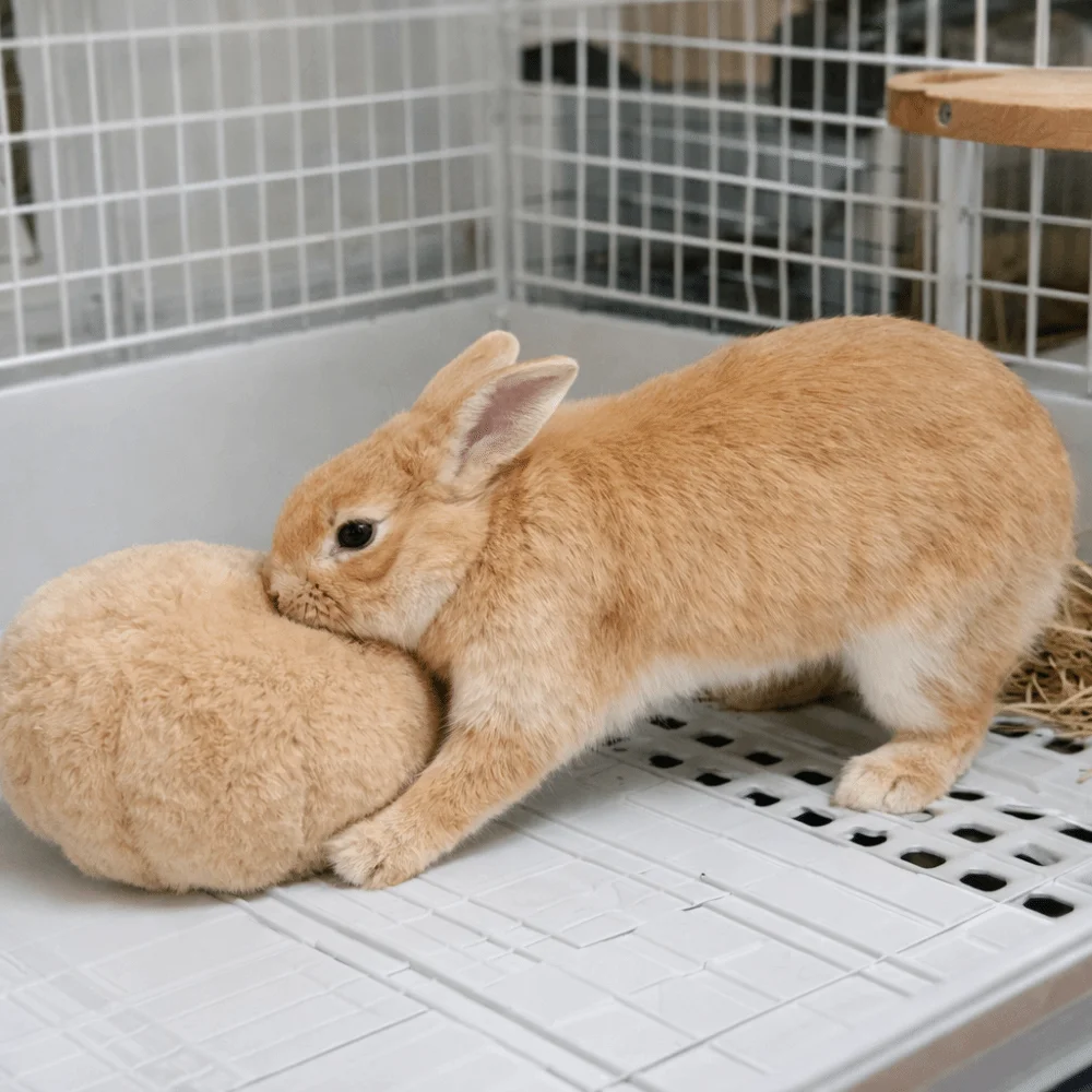 Bite Resistant Rabbit Soothing Ball Simulated Rabbit Buttocks Pet Chewable Ball Soft Comfortable Rabbit Venting Ball