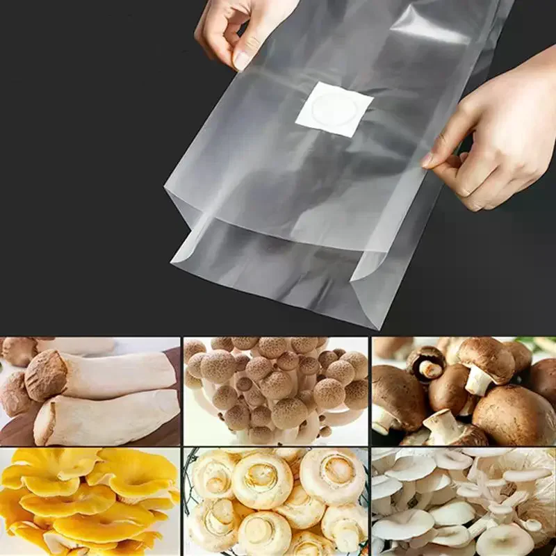 Mushroom Cultivation Bag 10Pcs Transparent Grow Bags with Filter Patch Reliable for Edible Mushroom Planting