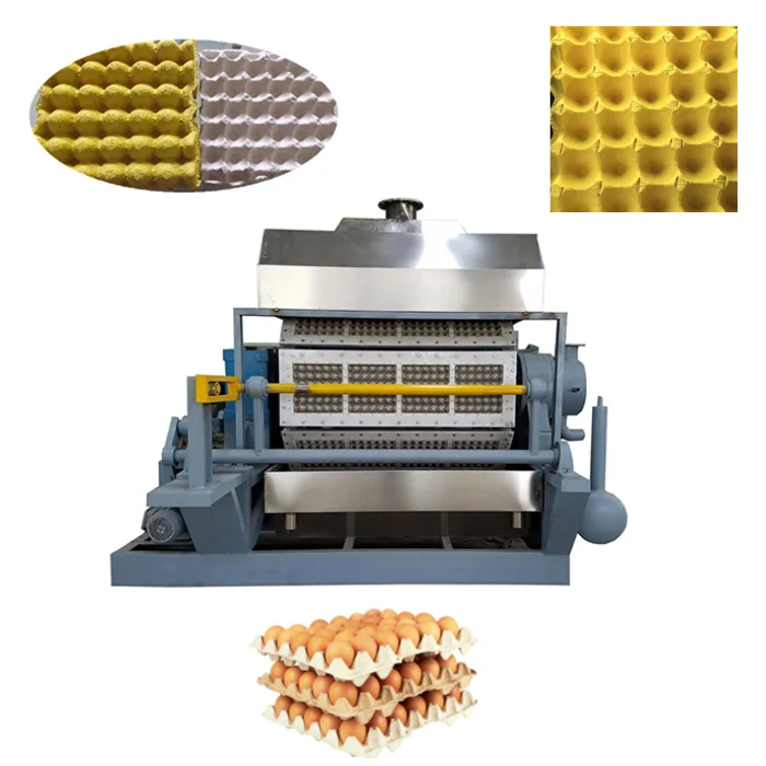 Automatic Paper Pulp Egg Tray Production Line Waste Recycle Machine Small Making Molding Equipment for Carton Packaging