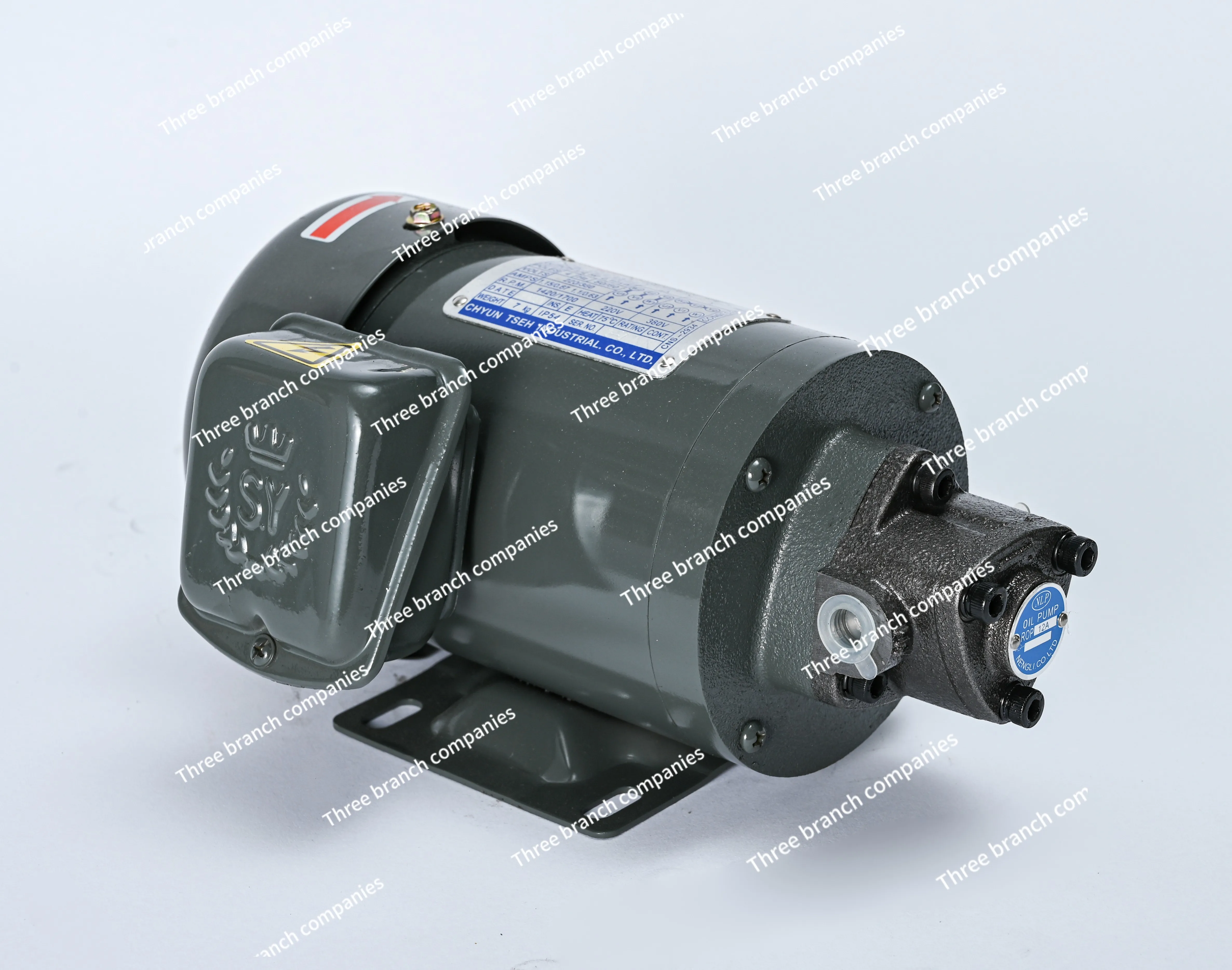 Three-phase 380V220V Short Motor ROP-12A/13A Cycloid Large Suction Silent Triangle Pump