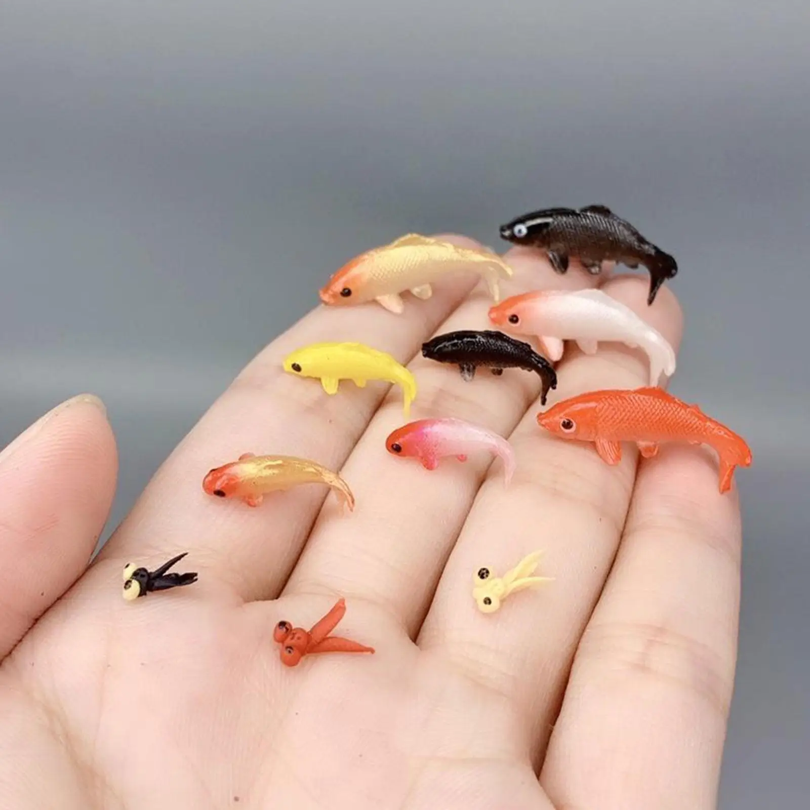 10 One -piece Style Random Miniature Fish Models For Sale Simulation Home Ornament Dolls Props Miniature Scene Landscaping Y4S0