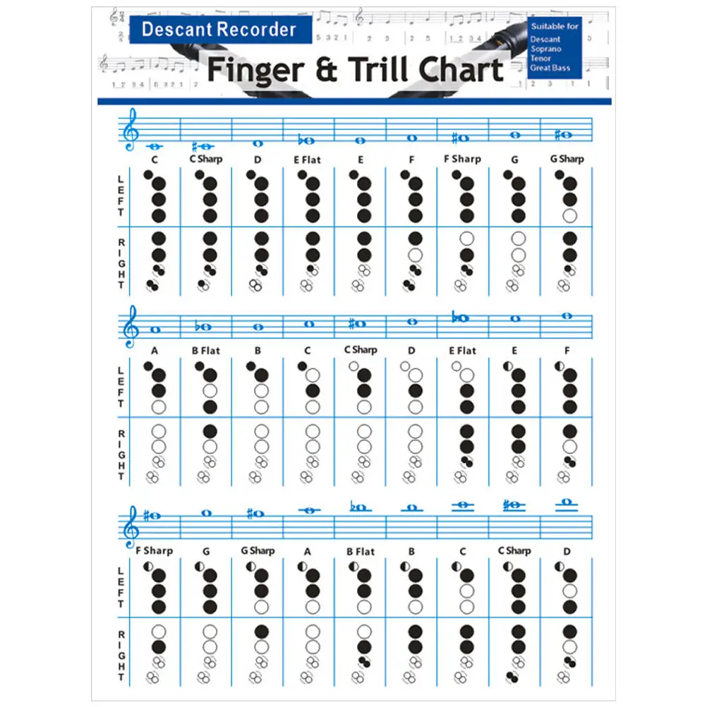 Clear Clarinet Chord Fingering Practice Sheet Professional Design Long Service Life Suitable for Novice and Experienced Players