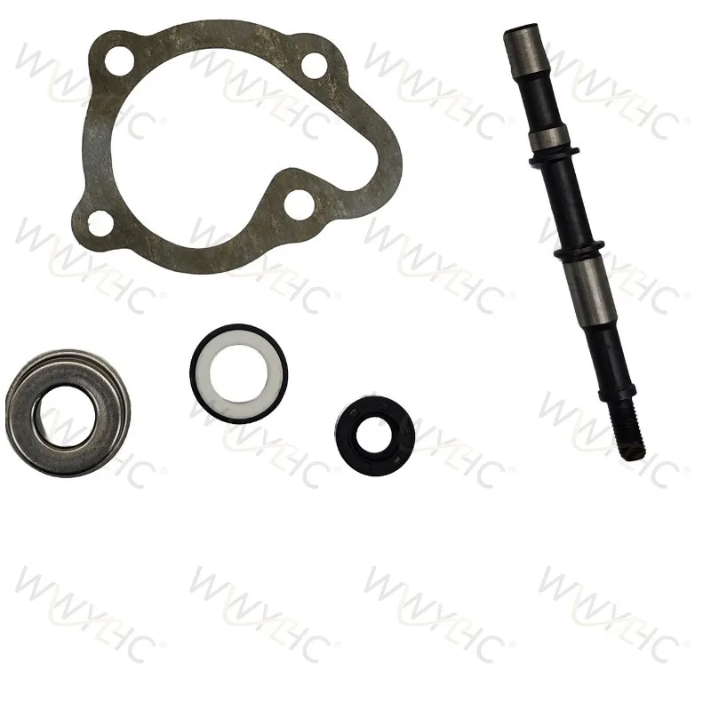 Suitable for 250CC 250 CN250 F250 Beach Bike Motorcycle Water Pump Kit 250-5067