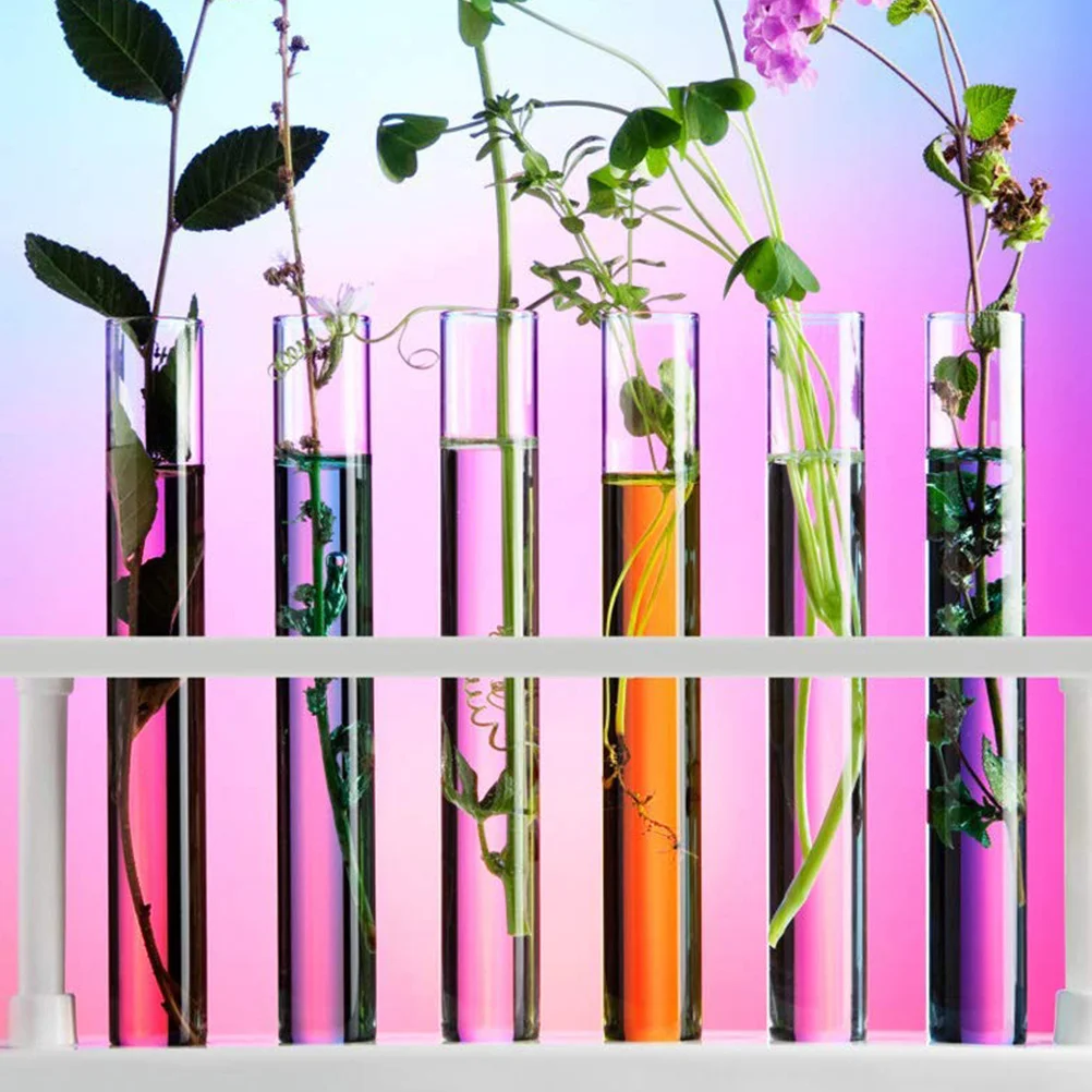 10 قطعة أنابيب اختبار الزجاج المستديرة القاع شفافة عالية أنابيب المختبر مقاومة للحرارة للكيمياء التجارب العلمية السائل #6