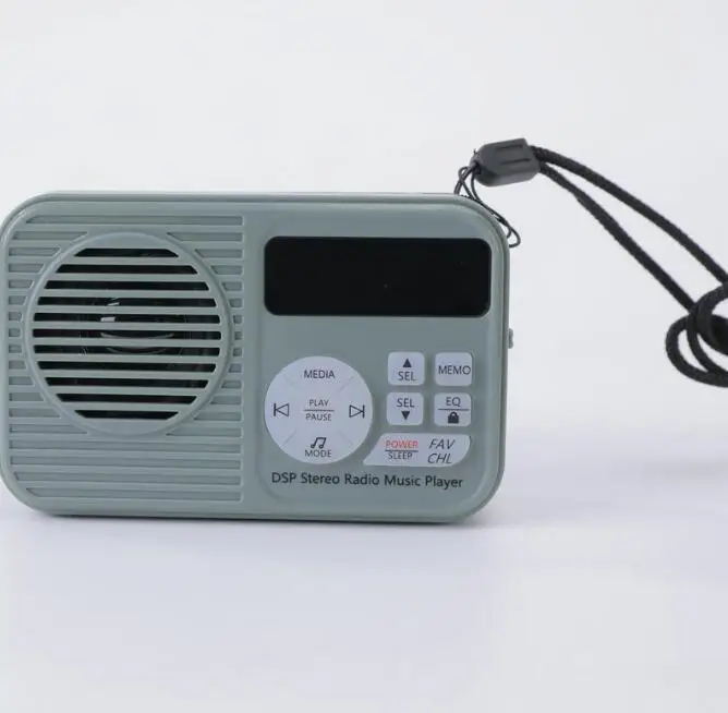 HRD-231 Portable FM DSP Stereo Radio Digital Bluetooth-Compatible MP3 Music Player +Battery