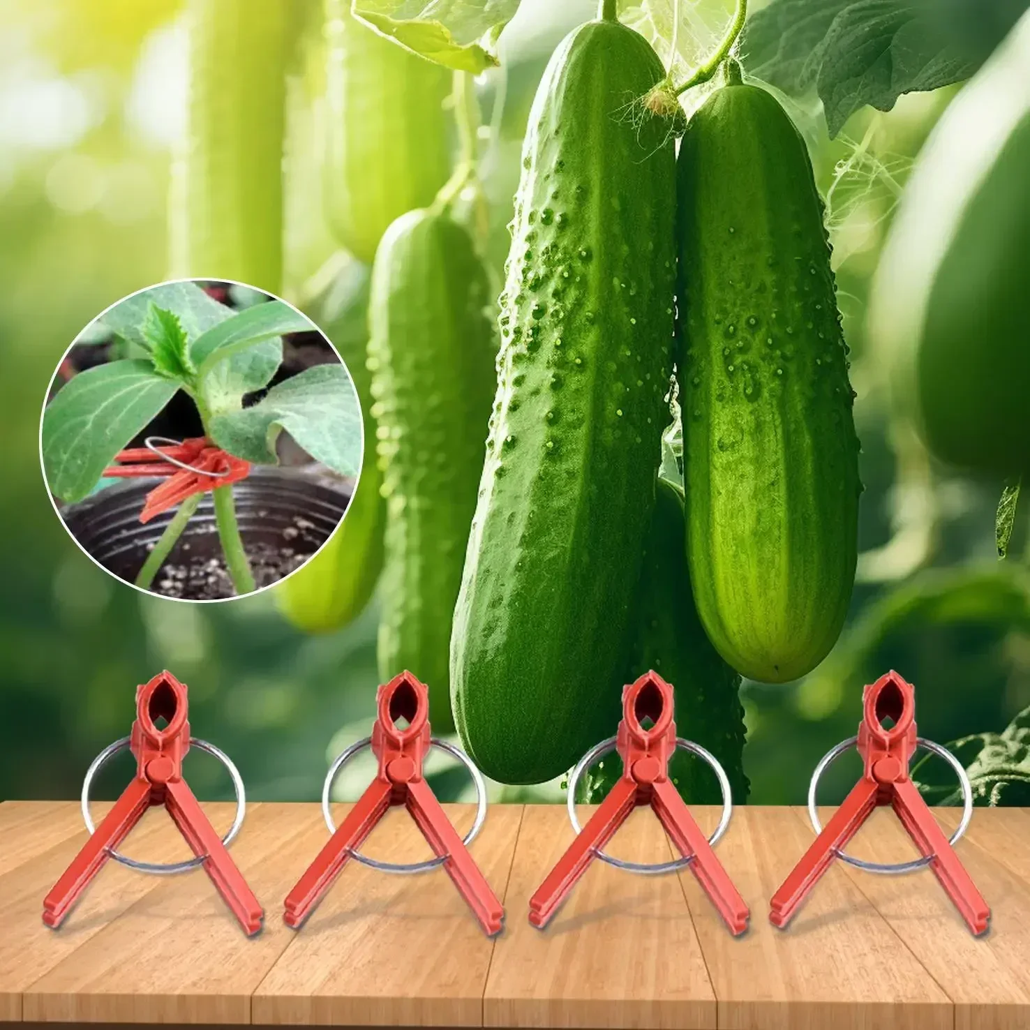 50pcs Premium Plastic Clips Garden Tools For Cucumber Eggplant Watermelon Vegetable Round/flat Mouth Grafting Clips