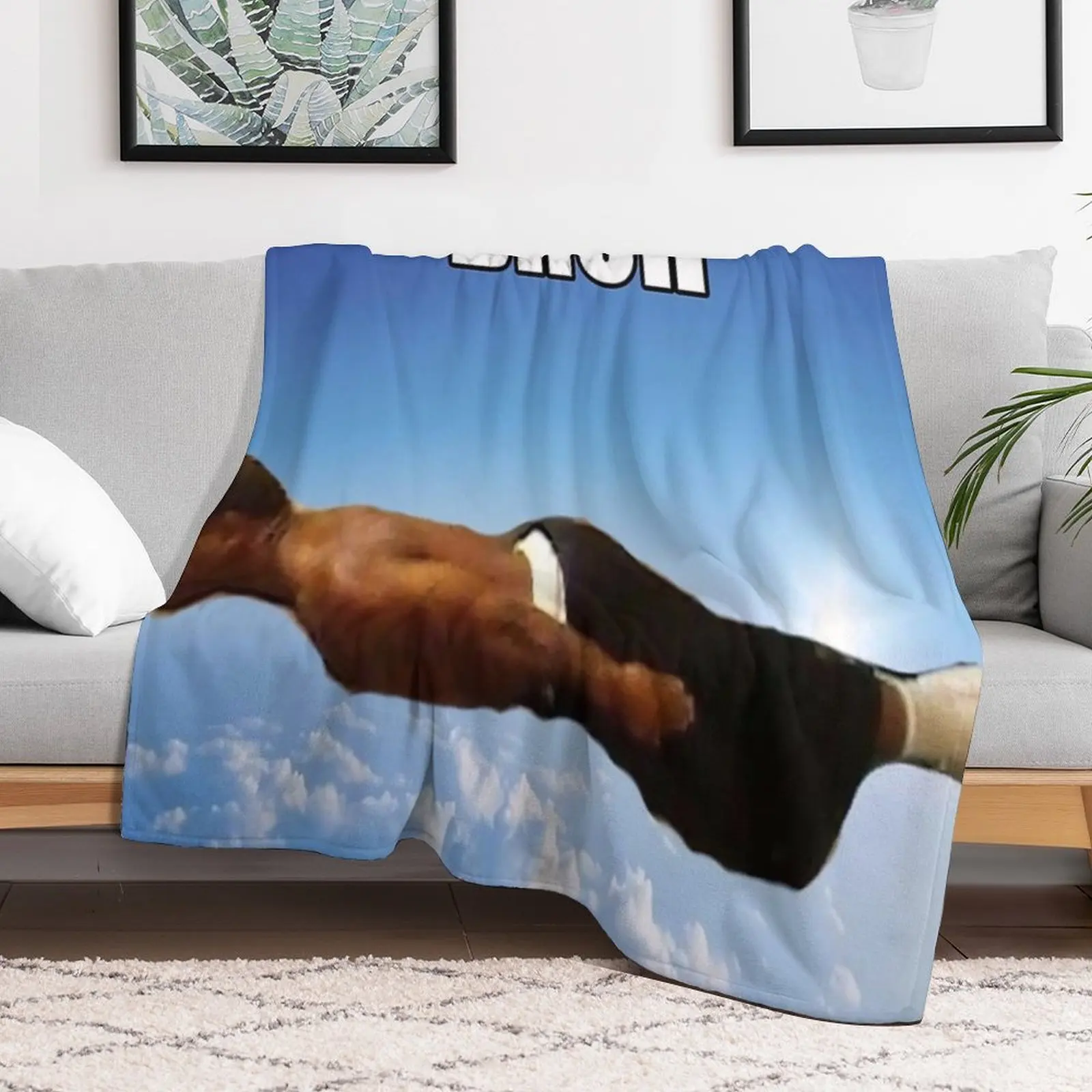 Bruh Flying Meme Throw Blanket