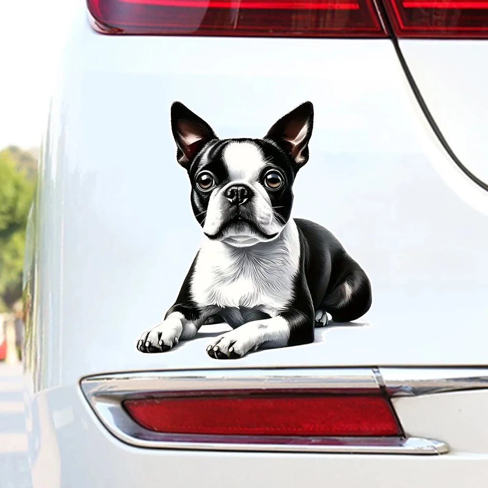 Hаклейка на авто Французский бульдог Waterproof Car Decorative Decal, Suitable for Cars, Laptops, Bumpers, Glass Window Sticker