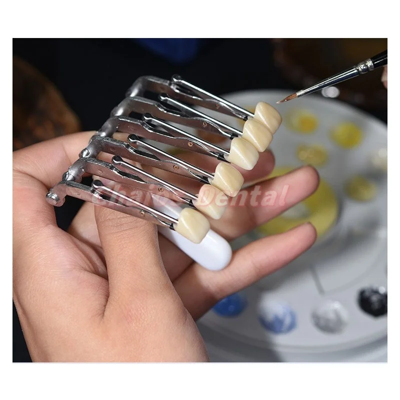 

1 шт., зажим для остекления шпона стоматологической лаборатории, зажим с шестью зубьями, керамический шпон, фарфоровая щетка, глазурованный зажим для временной коронки