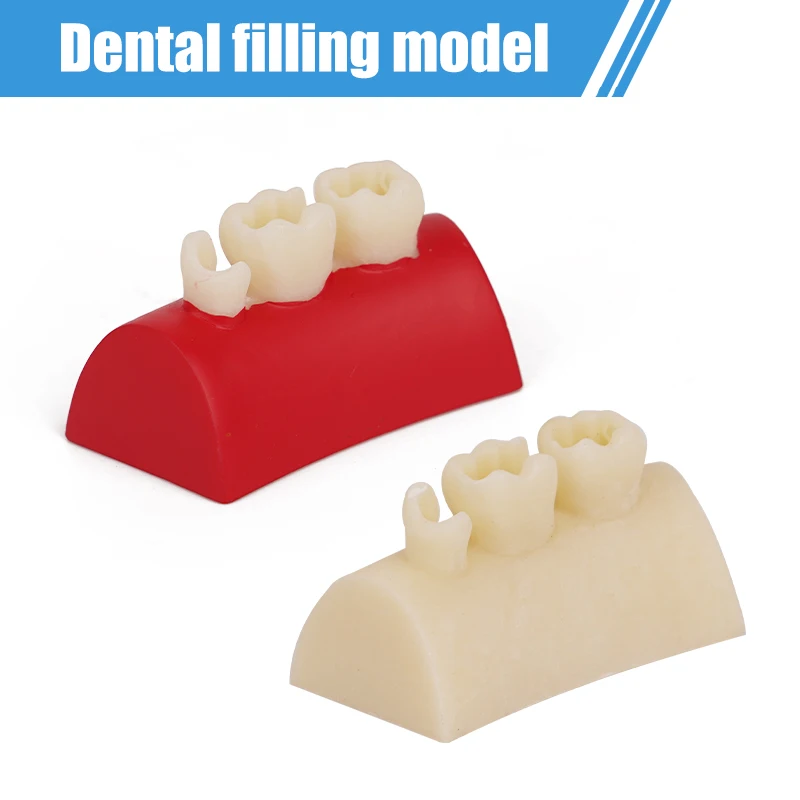 2pcs Dental Inlay Exercise Model Block Dentistry Oral Teeth Teaching Study Filling Exercise Typodont model