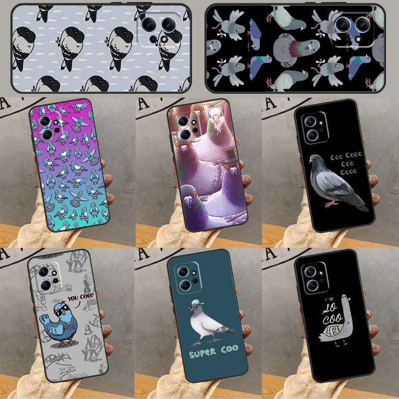 Pigeons Doves Bird …