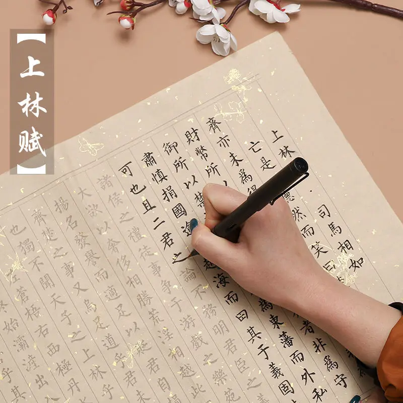 Sima Xiangru Liu Body Small Script Copy Brush Copybook Red Sprinkle Gold Rice Paper Calligraphy Practice