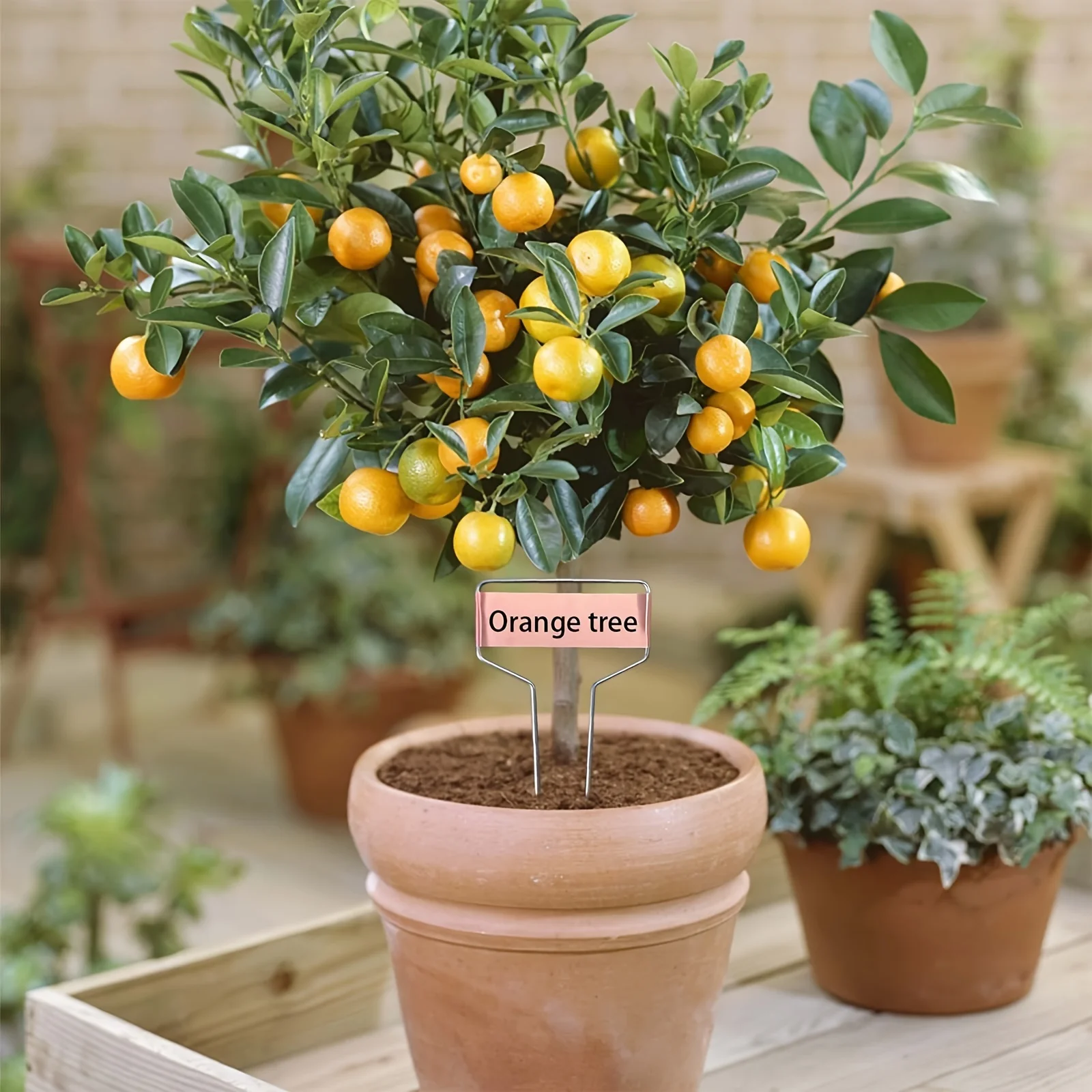 5pcs Reusable Copper Metal Plant Labels - Perfect for Vegetables, Herbs, Flowers & More!