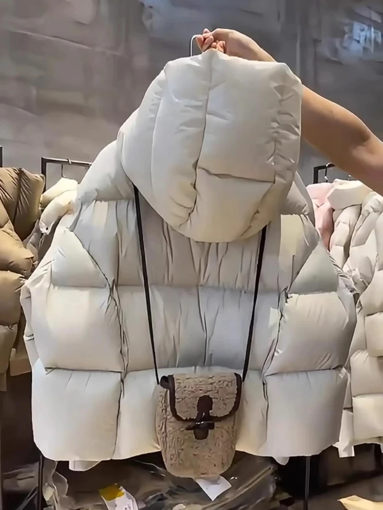 أزياء المرأة أسفل السترات 2025 جديد الإناث الوقوف طوق سترة منفوخة عارضة فضفاض مقنعين سترات