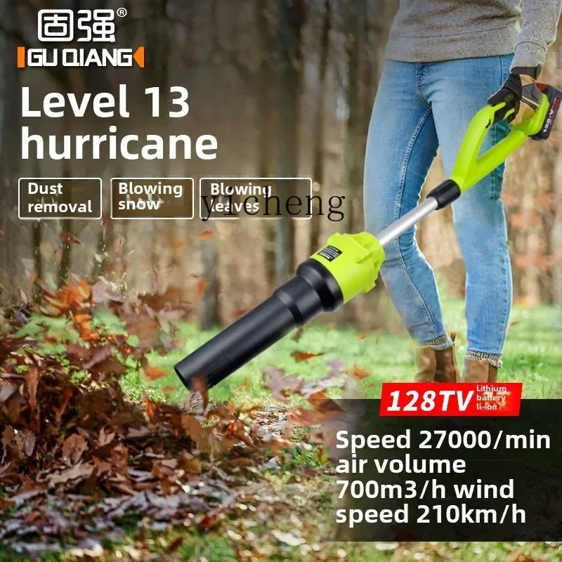 

TQH6.25 blower high power industrial rechargeable strong ash snow blower dust collector